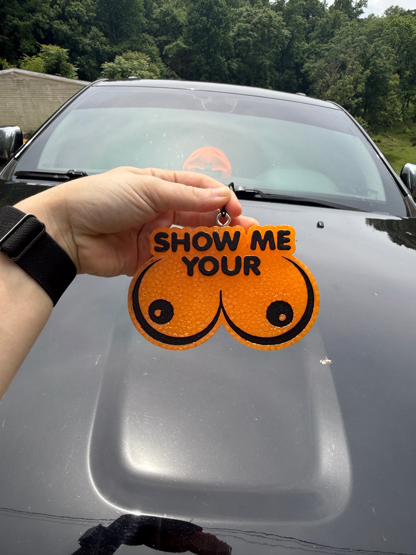 Show Me Your Boobs Car Freshie