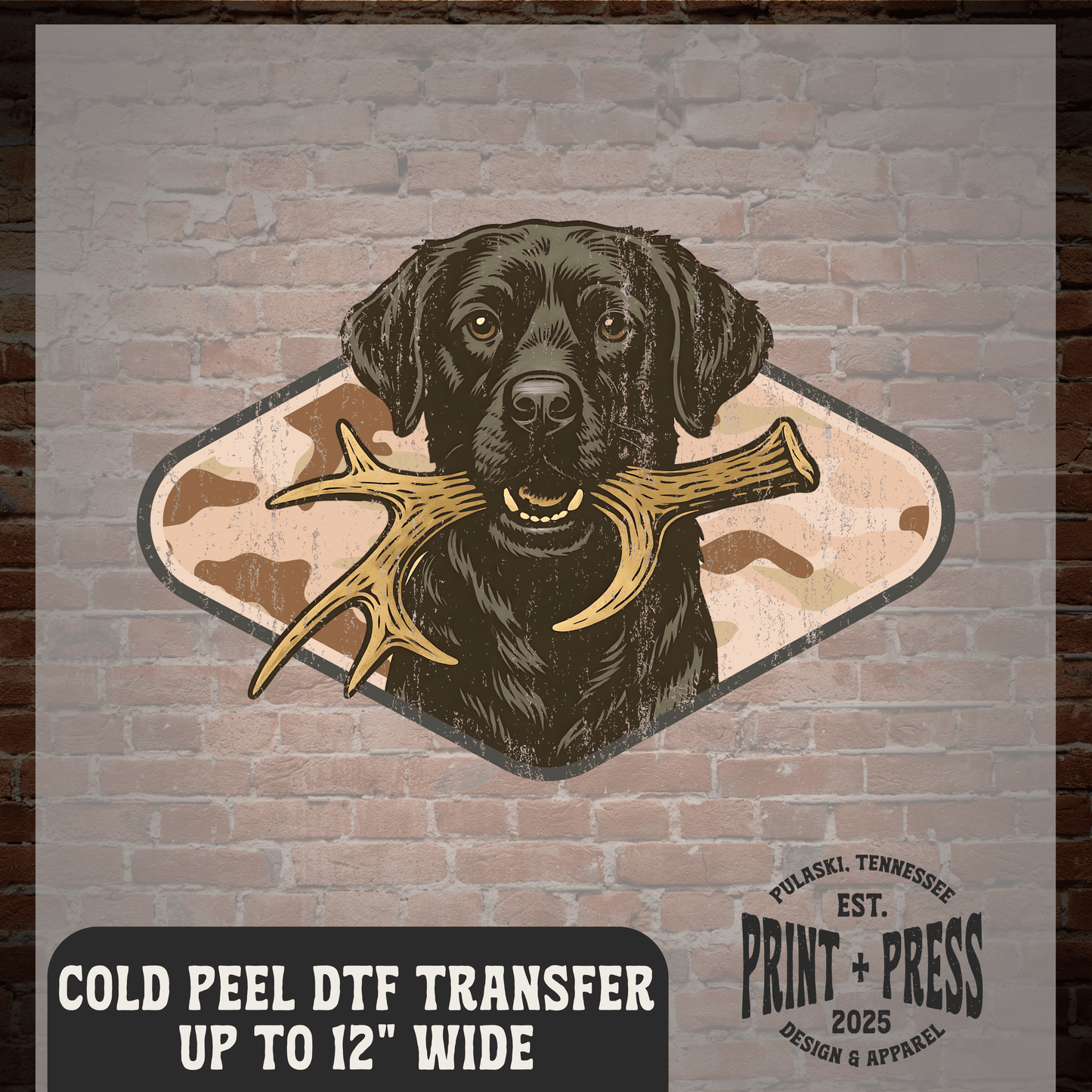 Hunting Dog DTF Transfer