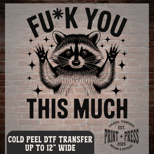 F You This Much DTF Transfer