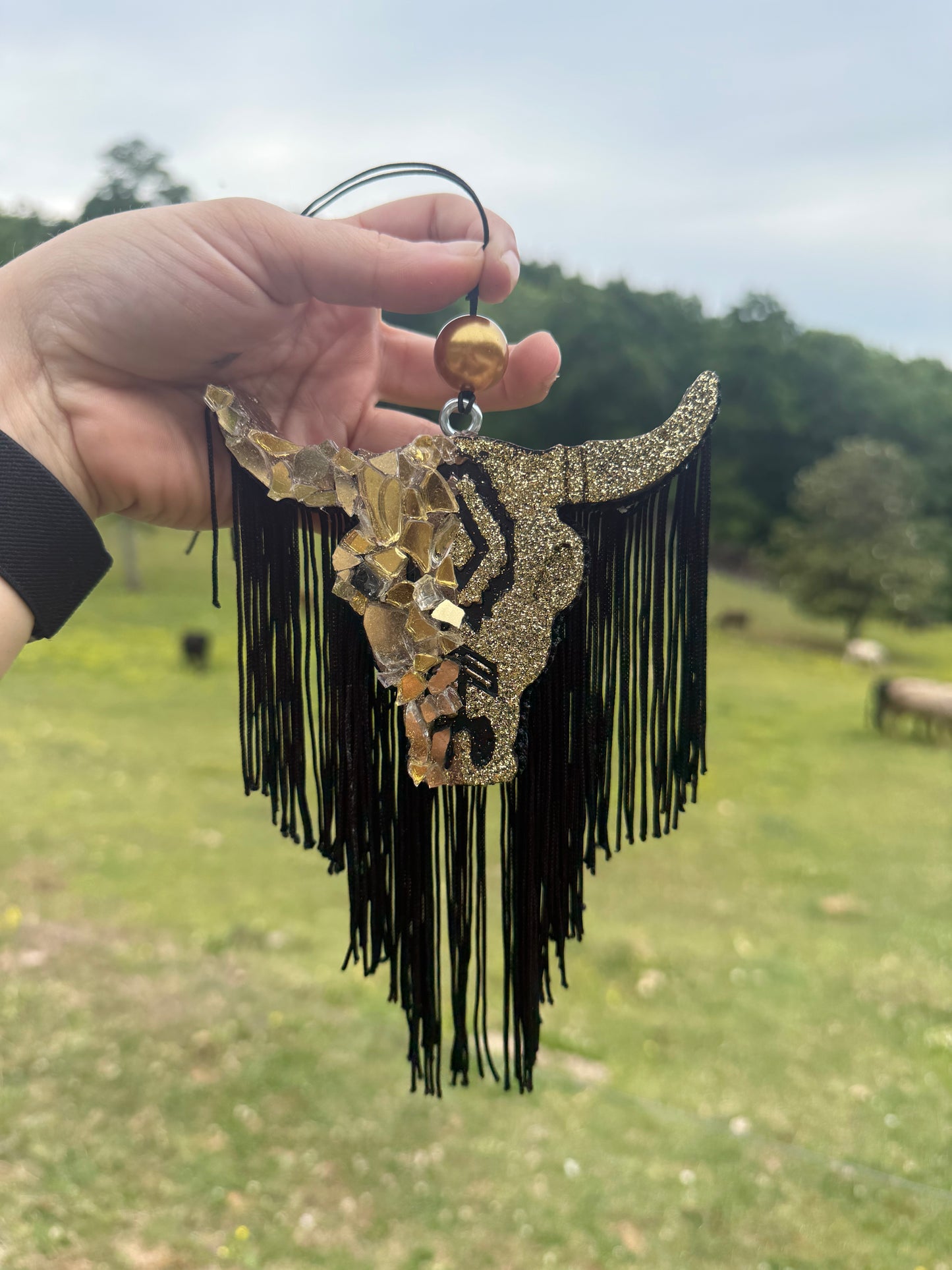 Hand holding a decorative cow skull with fringes against a blurred outdoor background